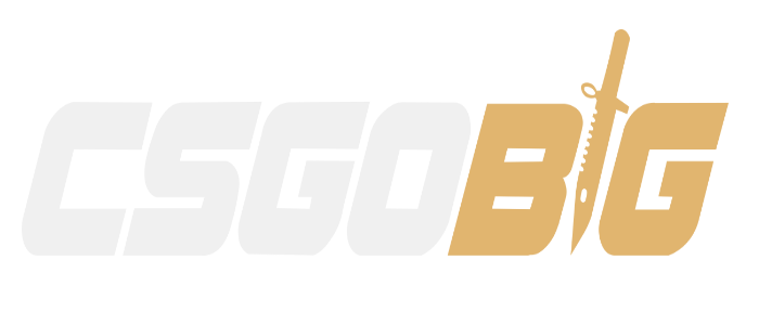 CSGOBIG